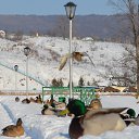 ����� �������� - ����� �����!