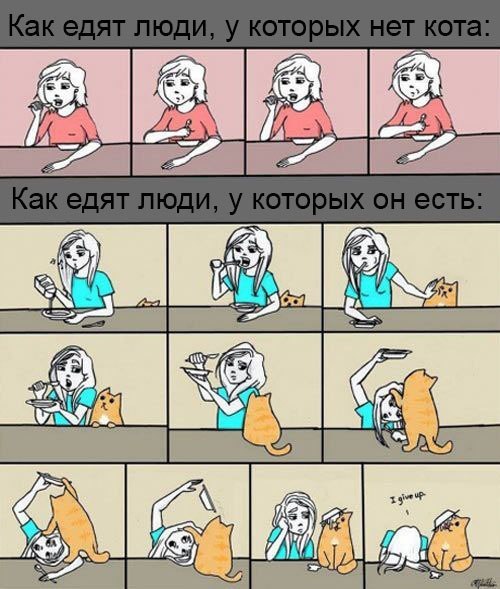       - 9  2015  07:03