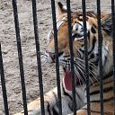 ���� ��������, �����������, 43 ���� - ��������� 24 ������� 2015 � ������ ���� ����������