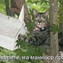 ���� ����, �����, 53 ���� - ��������� 14 ���� 2015 � ������ ������ ��������