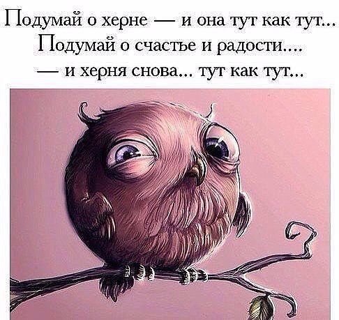  - 4  2015  10:51