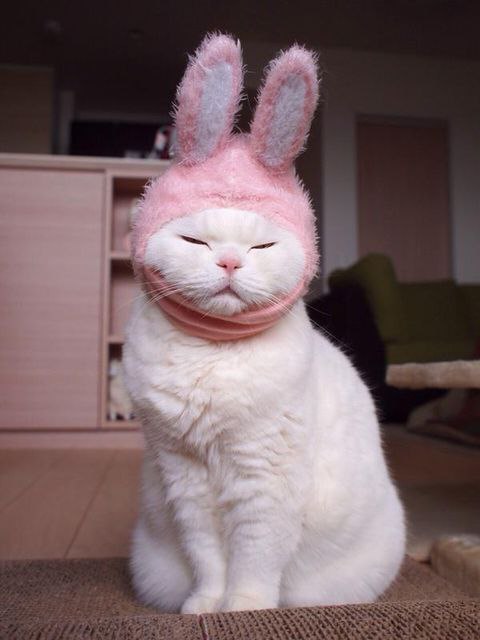   :3 - 2