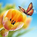 ���� ����, ������-��-����, 54 ���� - ��������� 6 ��� 2015 � ������ ���� ����������