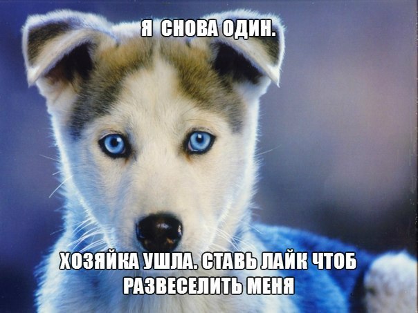    - 24  2015  17:14