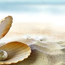 ���� Alehandro, ����������, 53 ���� - ��������� 3 �������� 2015 � ������ ���� ����������