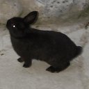 ���� ��������, ������������ - ��������� 2 ������� 2015 � ������ ������ ��������