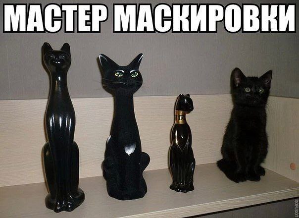 )))