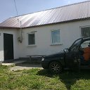 ���� �����, ������, 53 ���� - ��������� 31 ������� 2015 � ������ ���� ����������