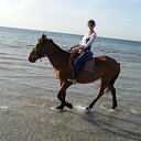 ���� ��������, ������������, 58 ��� - ��������� 28 ������ 2015 � ������ ���� ����������