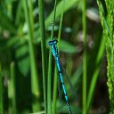 ���� �����, �����, 64 ���� - ��������� 9 ���� 2015 � ������ ����� ���� ���� (07.06.2015)�