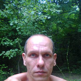 ������, ������, 54 ����