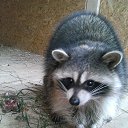  , --, 38  -  22  2015    