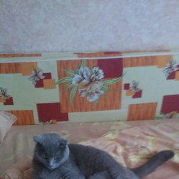 ���� ���������, �����������, 50 ��� - ��������� 17 ������� 2015