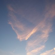 ������, 41 ���, ������