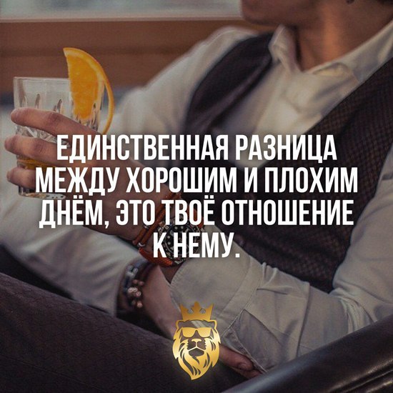 IQ Blog: , , ,  - 22  2015  23:11