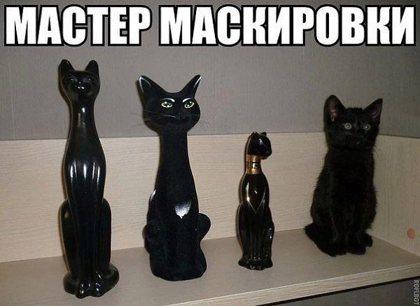 )))