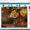 ���� � �������� �� ������� ������-���� � ���������
