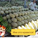 ���� ������, ���������, 49 ��� - ��������� 20 ���� 2015 � ������ �����