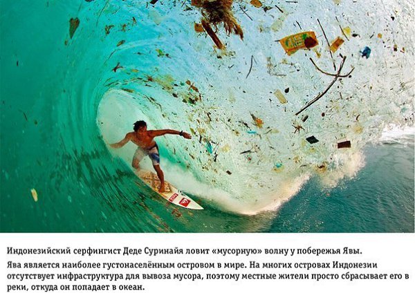 На грани апокалипсиса: Влияние человеческой деятельности на Землю.Глобальное потепление – далеко не ... - 5