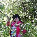 ���� �������, �����������, 58 ��� - ��������� 25 ��� 2015 � ������ ���� ����������