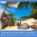 ���� ��������, ������ - ��������� 7 ��� 2015 � ������ ���� ����������