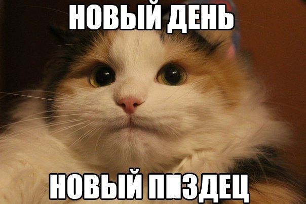  - 10  2015  20:21