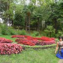  , , 73  -  24  2015    2015.