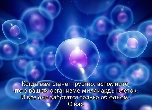  - 17  2015  19:09