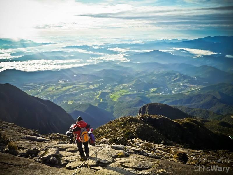   / . (. Borneo),   (. Kalimantan) -  ... - 10