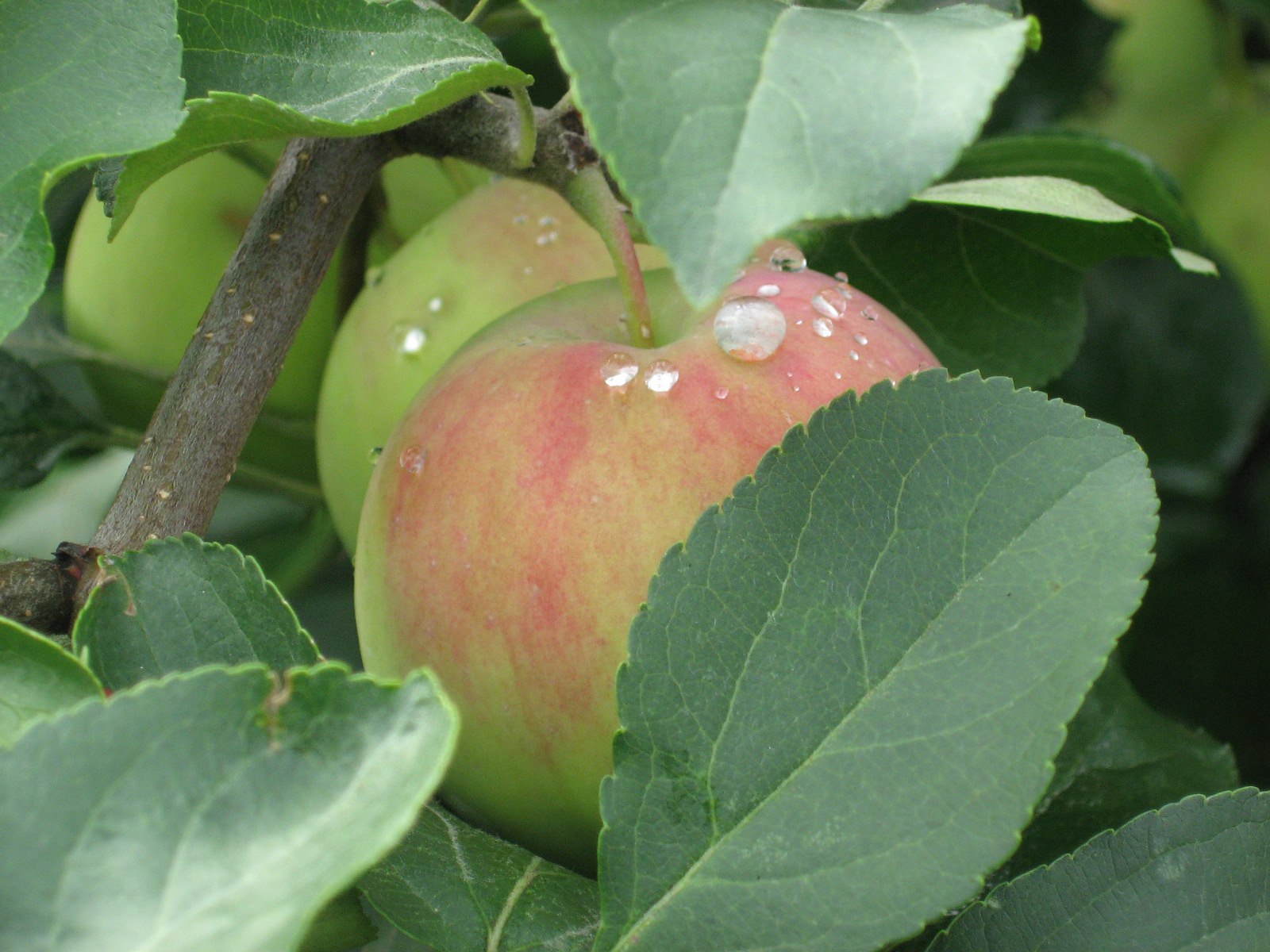  - 17  2015  10:40 - 3