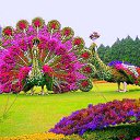 ���� �����, �����, 55 ��� - ��������� 1 ��� 2015 � ������ ������ ��������