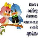  ,  -  11  2015    