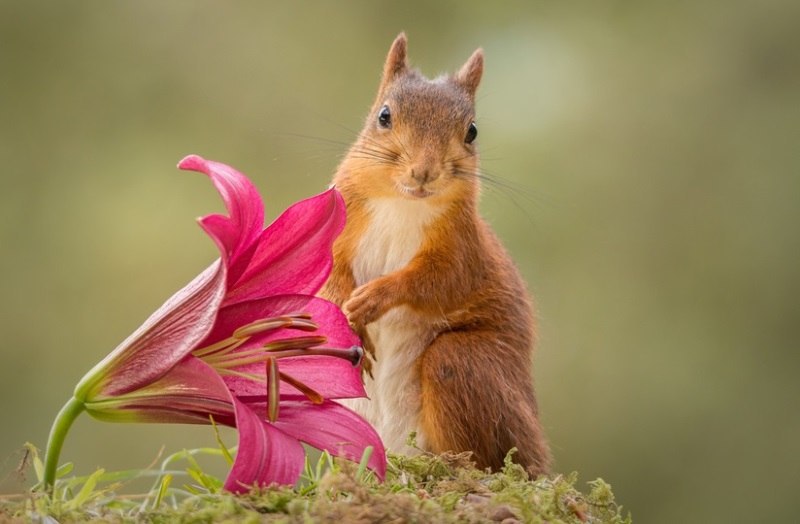  Geert Weggen. - 4