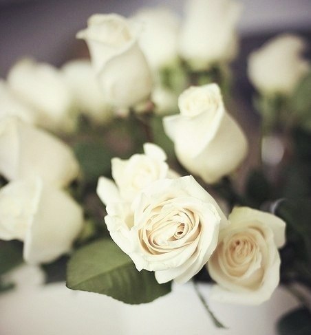 ������� ������ - 11 ��� 2015 � 22:45 - 6