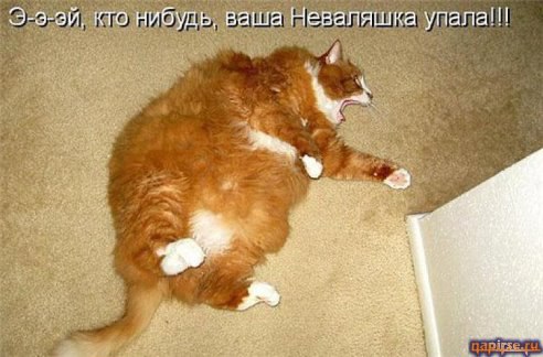      ,  ...  ,      ...