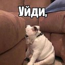 ���� �����, ������, 46 ��� - ��������� 26 ������� 2015 � ������ ������ ��������