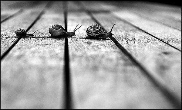 I see, I hear... (  ,   ) - 26  2015  18:03