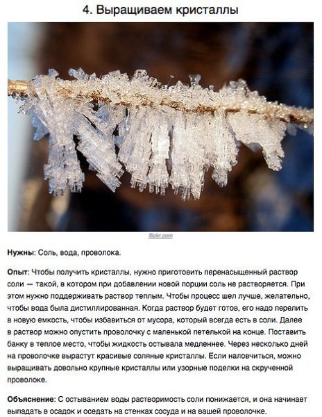 Как нужно приобщать детей к науке? У нас на кухне хранится много вещей, с которыми можно ставить ... - 4