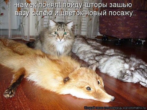    :-) - 2  2015  12:01