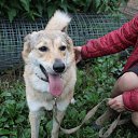 ���� ��� � �������� ������� ������������� ������� ����. �������,�������,�������������,� ��� �� ����������.
��� ������ �������� ����������,� ����� ���� �� ��������� ������������ �� ���� �����,�������� ����������� � ���� ����� �����!
���������� ����������� � ������ ����������� ������� ���� ������!
�.������������
�������: �������
�������:8-916-052-63-10 �� ������� ���������