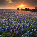 ���� ����, ������ - ��������� 19 ��� 2015 � ������ ���� ����� ��������