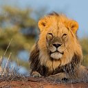 ���� ���������, �����, 48 ��� - ��������� 2 ������� 2015 � ������ ���� ����������