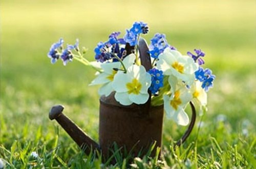 ||  ... || - 15  2015  23:12 - 2