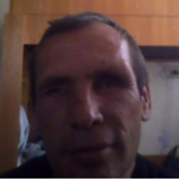 �����, ����������