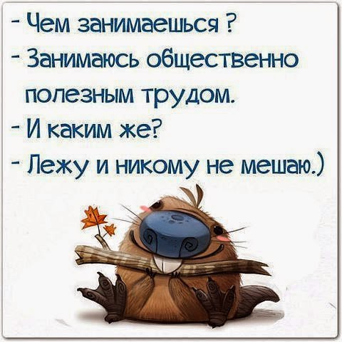 Luchik - 15  2015  18:28