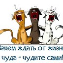 ���� ������, ������������ - ��������� 12 ������� 2015 � ������ ������ ��������
