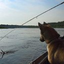 ���� ����, ���� - ��������� 30 ���� 2015 � ������ ������ ��������