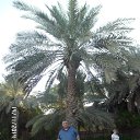 ���� Arshak, ������, 59 ��� - ��������� 8 �������� 2015 � ������ ���� ����������