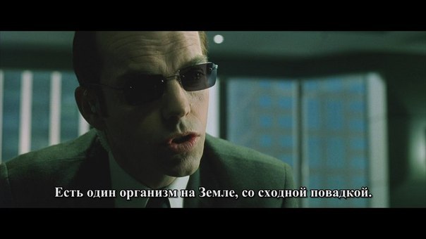 The Matrix, 1999 - 6