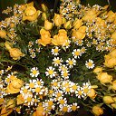 ...���������...������ � ��������..... �� ������� ���� ����������